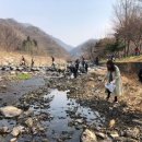 내장산국립공원 백암사무소 이미지