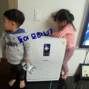 송아지 PC 이미지