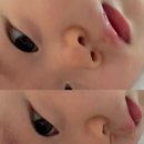 인디핫핑크 | 12월 주간일기 1. 겨울맞이