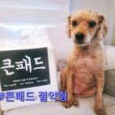 갑-160 | [리뷰] 강아지 배변 실수 해결! 가성비 갑 '큰패드 절약형' 대형 사용 후기