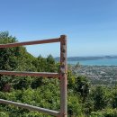 한국그랜드쇼핑(한국1차상가) | [푸켓 6박8일 신혼여행] ep.3 코끼리트레킹 왓찰롱 더쇼어앳카타타니