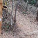 코리아둘레길 「남파랑길」(해남구간) 이미지