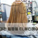 헤어엘(el)