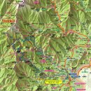 엠티브이21로 이미지