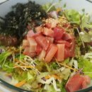 하참치