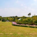 태진목장 이미지