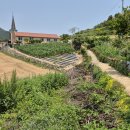 이목마을회관 이미지