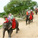 김갑수농장 | 안재훈,김갑수님의 방콕,파타야 여행후기-하나투어 잠실점 이용고객