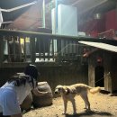 글램코티지 이미지