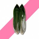 케이씨무역 이미지