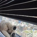 당신만이 주인공이어도 괜찮아