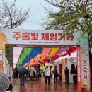 청도군-19 | 2025 청도반시축제 &amp; 청도세계코미디아트페스티벌 후기 (10/17-19)