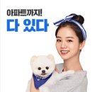 참다방 - 안동시 장터2길 6-14 | 참다방