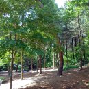 삼태기길 이미지