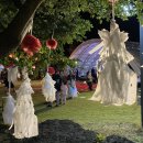 제주 마로 이미지