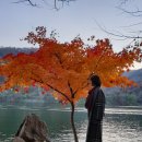 중앙로길 | 여행. 남이섬밤풍경. 자작나무숲.남이100년하늘폭포. 짚와이어. 남이섬별장. 남이섬밤단풍여행다녀온후기~~