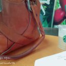 서울연천초등학교 이미지