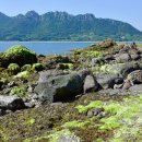 하도 해변 이미지