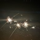 국도21-금마 가로수길 | 2025년 상반기 마무리 일기 - 눈 깜빡 했을 뿐인데요오,,