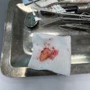 연세돌담치과의원 이미지