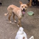 주주동물종합병원 이미지