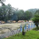 철원 평화마을  유곡 캠핑장 이미지