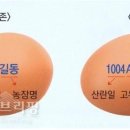 사육유통