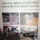 신대한정비 | 진관사 - 종교를 넘어 마음의 정원을 찾아서