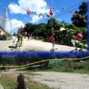 석계농장 이미지