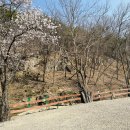 캠핑주막&pub 네이버블로그