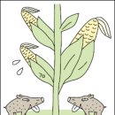 골몰농장 이미지