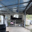 사항제2낚시터 | [고양시 봉림낚시터] – 일산 손맛터에서 꼬리표 붕어 잡은 날 (2025.05.20)