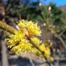 솔향유치원 이미지