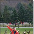 좋은빛목장 이미지