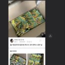 응응스크르포항