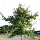 나무와창 이미지