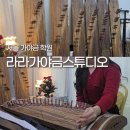빛나는 가야금 힐링수업 | 서울 가야금 학원 라라가야금스튜디오 성인 취미 가야금 원데이 클래스 추천