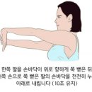 세종튼튼한의원 이미지