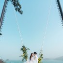 블루코코 컴퍼니 이미지