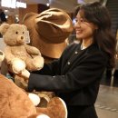 테디베어 이미지