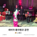 세비야 | 스페인 세비야 플라멩코 예약 시간 가격 관람 후기