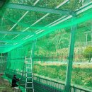 진양골프연습장 이미지