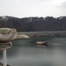 백일태양광 Daum카페