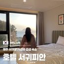 서귀포환승정류장 | 제주도 서귀포 감성숙소 추천 호텔서귀피안 가성비 오션뷰
