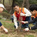 SK네트웍스 이미지