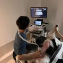 페이지동물병원 이미지