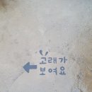 성포문구