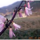 호랑이농장 이미지