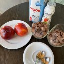 동서ENG | [포르투갈 알가르브 여행] 알가르브 DAY3, 알부페이라 구시가지 구석구석 구경하기.