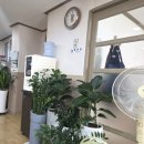 복돼지감자탕 | 장호원 맛집 추천 장호원 전통시장 앞 복돼지감자탕